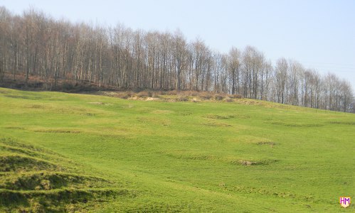 Vestiges d'un village
